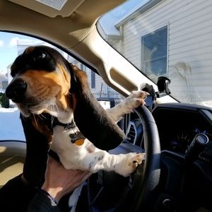 Meet your Posher, Jordyn